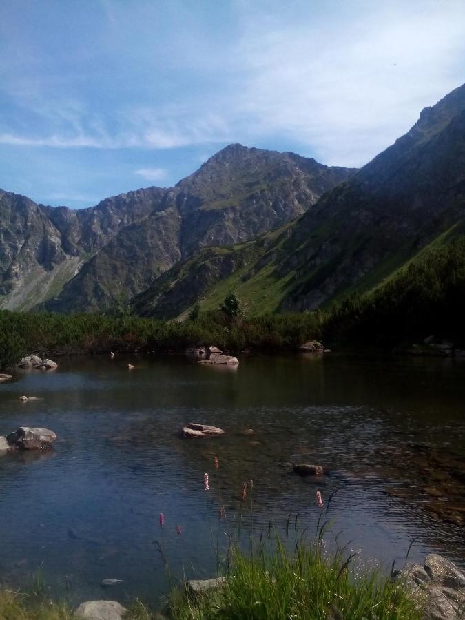 Villa Domcek Michaela Zuberec Esterno foto